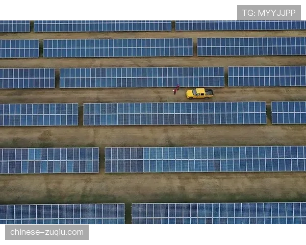 本赛季赛事推动低碳目标 新电子票证系统减少八成纸质消耗