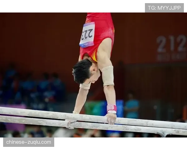 体操男子鞍马决赛四川邹敬园获季军 广东肇庆赛区顺利完赛